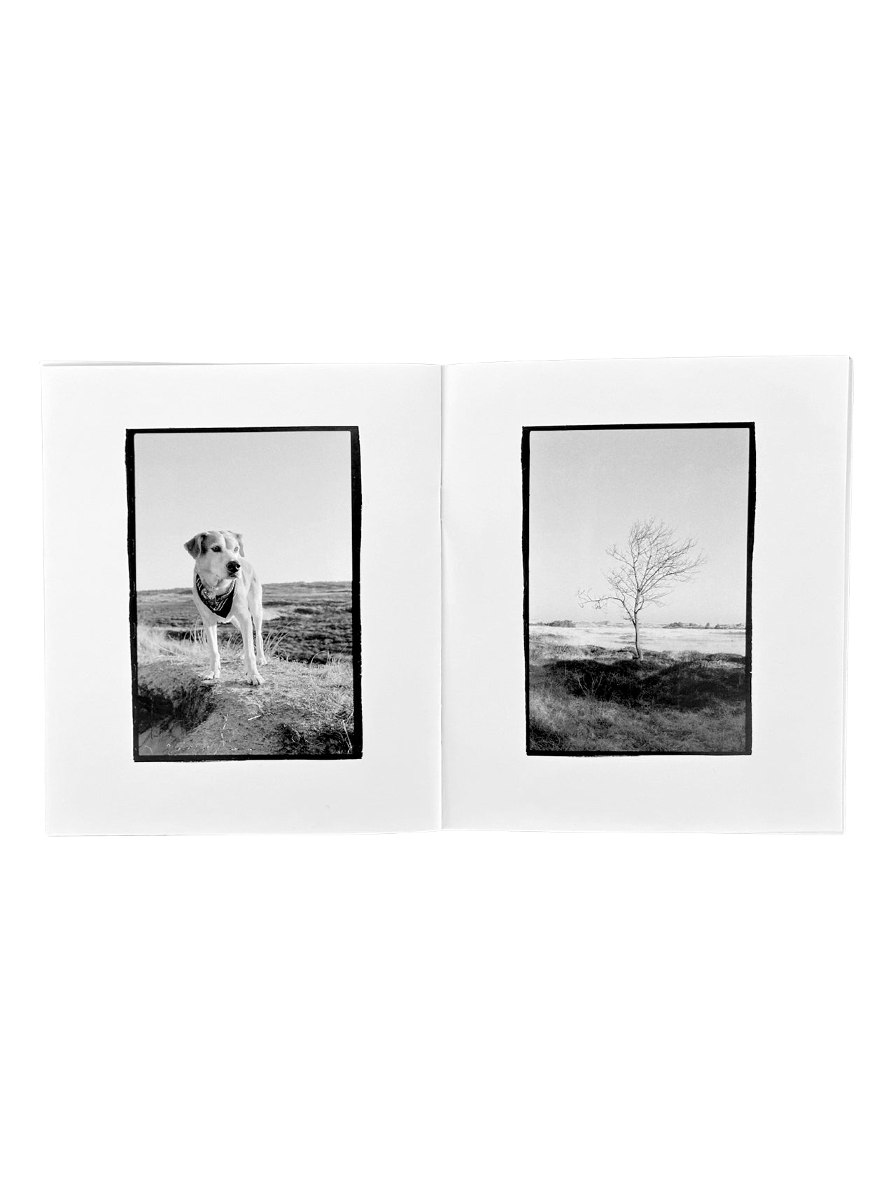 Matthias Welker "Rømø" Zine