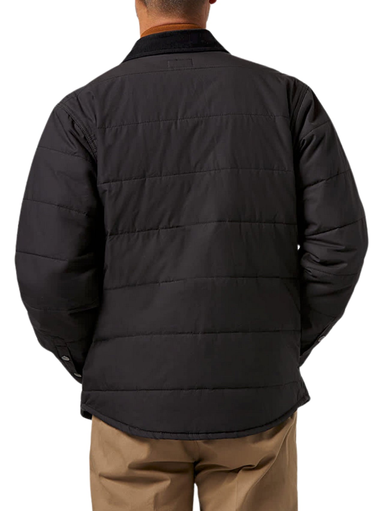 Brixton "Cass" Jacket