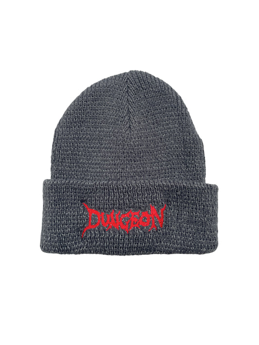 Dungeon "Logo" Reflective Beanie