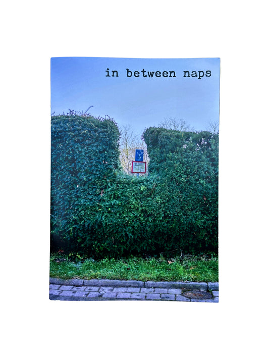 Jan Vollmann "In Between Naps" Zine