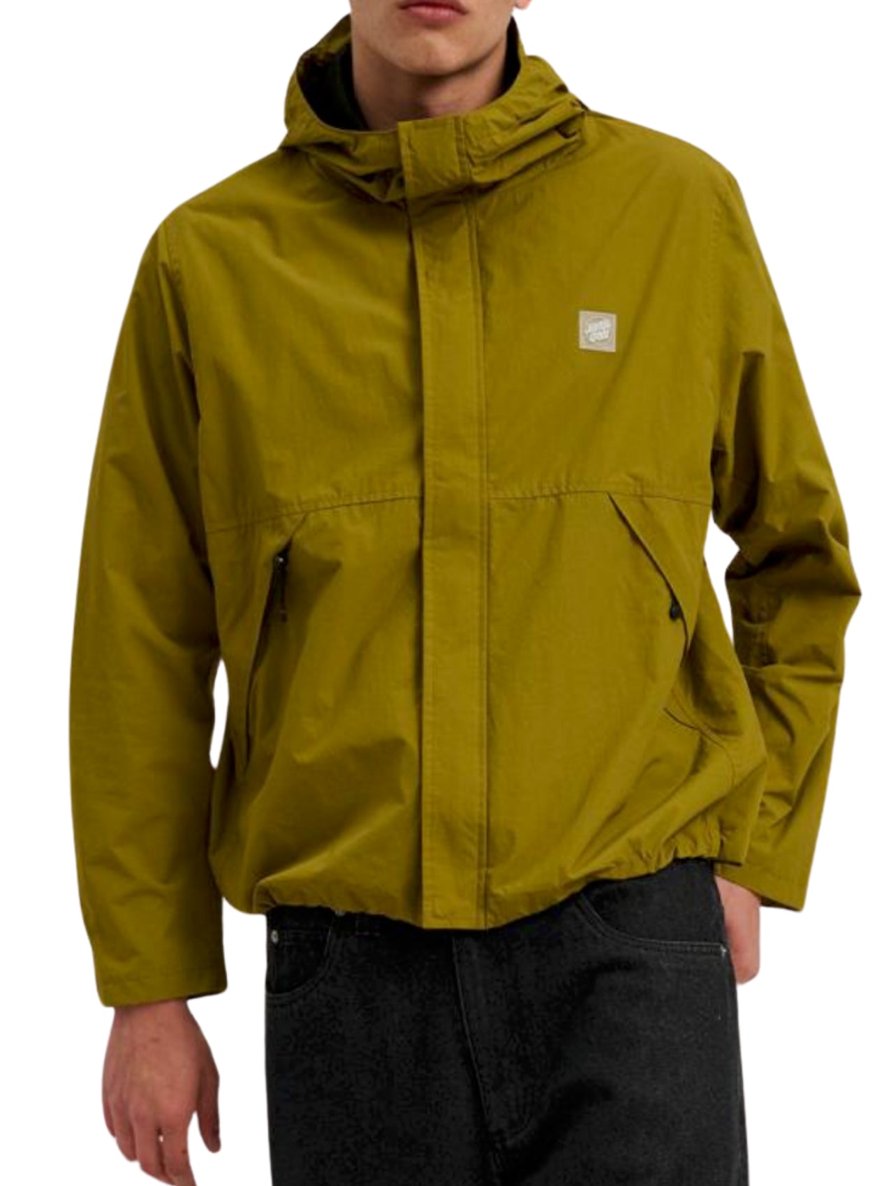 Santa Cruz "Camper" Jacket Iguana